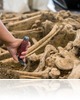 Vélhetően hun uralom alatt élt vezér sírját tárták fel Romániában