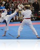 XVII. Sárvár Kupa Országos Karate Verseny