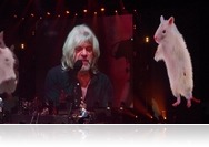 Térdig a sz*rban, fülig a szeretetben - Születésnapi Hobo-koncert a Sportarénában