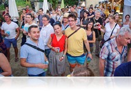 Művészetek Völgye, a kulturális oázis
