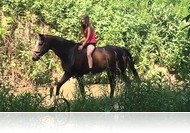 Savaria youtuberei: a kiscsaj, aki szőrén üli meg a lovat, és erről még videója is van