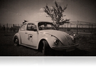 Bogárblog - Fain a verdája, bácsi! 