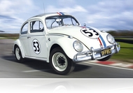 Bogárblog - Vezérbogár újra száguld...