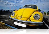 Bogárblog - My name is...