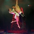 Cirkusz felsőfokon! - Circus Maximus a Fővárosi Nagycirkuszban Cirkusz felsőfokon! - Circus Maximus a Fővárosi Nagycirkuszban