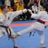 XVII. Sárvár Kupa Országos Karate Verseny XVII. Sárvár Kupa Országos Karate Verseny