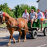 Dőltek a kalászok a XXXV. Büki Aratóünnepen