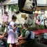 Ahol a japán turisták is megjelennek - Nárcisz Fesztivál Bad Aussee-ben