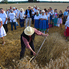 Rendet vágtak a búzában - XXVII. Aratóünnep Bükön
