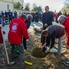 Gyümölcsfákat ültettek a Szent Jakab Szociális Központ Közösségi Kertjében