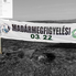 Megjöttek a Madarak - Madármegfigyelés az Abért-tavaknál (fotóriport) Megjöttek a Madarak - Madármegfigyelés az Abért-tavaknál (fotóriport)