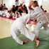Jubileumi aikido edzőtábor Csepregen