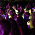 A magyarok nyilai - 30Y és Ocho Macho a picture on festivalon