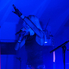 Ötszáz villám energiája - Péterfy Bori koncert a moziaulában