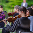 A Camerata Pro Musica nyáresti hangversenye a Kámoni Arborétumban