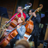 A Camerata Pro Musica nyáresti hangversenye a Kámoni Arborétumban