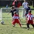 Csepregi futballőrület - újra Bozsik-program 