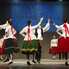 A szülőföld kincsei - Vasi Néptáncpanoráma 2014 (fotóriport)