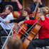 A Camerata Pro Musica nyáresti hangversenye a Kámoni Arborétumban
