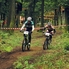 A darazsakkal is megküzdöttek - Terepkerékpáros verseny a Holdfény Ligetben