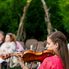 Zenélő kert - a Camerata Pro Musica koncertje a Kámoni Arborétumban Zenélő kert - a Camerata Pro Musica koncertje a Kámoni Arborétumban