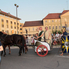 Jelmezes felvonulás újratöltve - Savaria Karnevál 2012