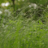 Belső mosoly, avagy a tavasz színei (fotóriport) Belső mosoly, avagy a tavasz színei (fotóriport)