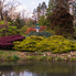 A nyugalom szigete - Japánkertet és hidat avattak a Kámoni Arborétumban