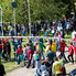 Májusfaliget és koncertek - május elseje Sárváron