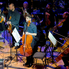 Tapssal simogatott zenészek - XIV. Hollywood Classics a Bartók Teremben