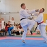 Karate nagyüzem Sárváron - XVIII. Sárvár Kupa Országos Karate Verseny