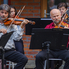 A Camerata Pro Musica nyáresti hangversenye a Kámoni Arborétumban