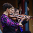 A Camerata Pro Musica nyáresti hangversenye a Kámoni Arborétumban