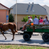 Dőltek a kalászok a XXXV. Büki Aratóünnepen