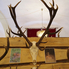 Hat tárlat tekinthető meg a Batthyány-kastély épületeiben