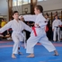 Karate nagyüzem Sárváron - XVIII. Sárvár Kupa Országos Karate Verseny