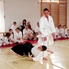 Jubileumi aikido edzőtábor Csepregen