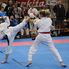 XVII. Sárvár Kupa Országos Karate Verseny XVII. Sárvár Kupa Országos Karate Verseny
