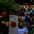 Japán közelebb van, mint gondolnád! - Japán Nap 2018 a Sportházban
