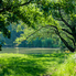 Nestlések horgásztak a sárvári Csónakázó-tón