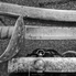 Fegyverrel a szabadságért: forradalmi relikviák a Kámoni Arborétumban (videóval)