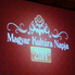 Magyar Kultúra Napja 2014 - Díjátadó Gála a Bartók Teremben