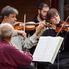Zenélő kert - a Camerata Pro Musica koncertje a Kámoni Arborétumban Zenélő kert - a Camerata Pro Musica koncertje a Kámoni Arborétumban