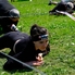 Spartan Race 2024 - Több ezer extrémsportoló Szombathelyen