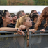 A XXXVIII. Sitke Rockfesztiválon minden összeért az ég alatt A XXXVIII. Sitke Rockfesztiválon minden összeért az ég alatt