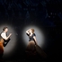 Az Oliver! című musical a Győri Nemzeti Színházban Az Oliver! című musical a Győri Nemzeti Színházban