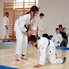 Jubileumi aikido edzőtábor Csepregen