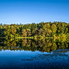 Ilyen a Döröskei-tó vadromantikája (fotóriport) Ilyen a Döröskei-tó vadromantikája (fotóriport)