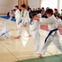 Jubileumi aikido edzőtábor Csepregen