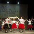 A szülőföld kincsei - Vasi Néptáncpanoráma 2014 (fotóriport)